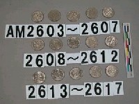 藏品(美國1角硬幣)的圖片